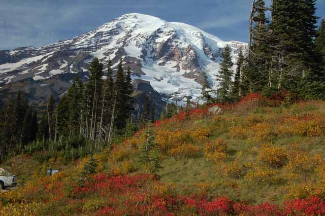 Mt. Rainier